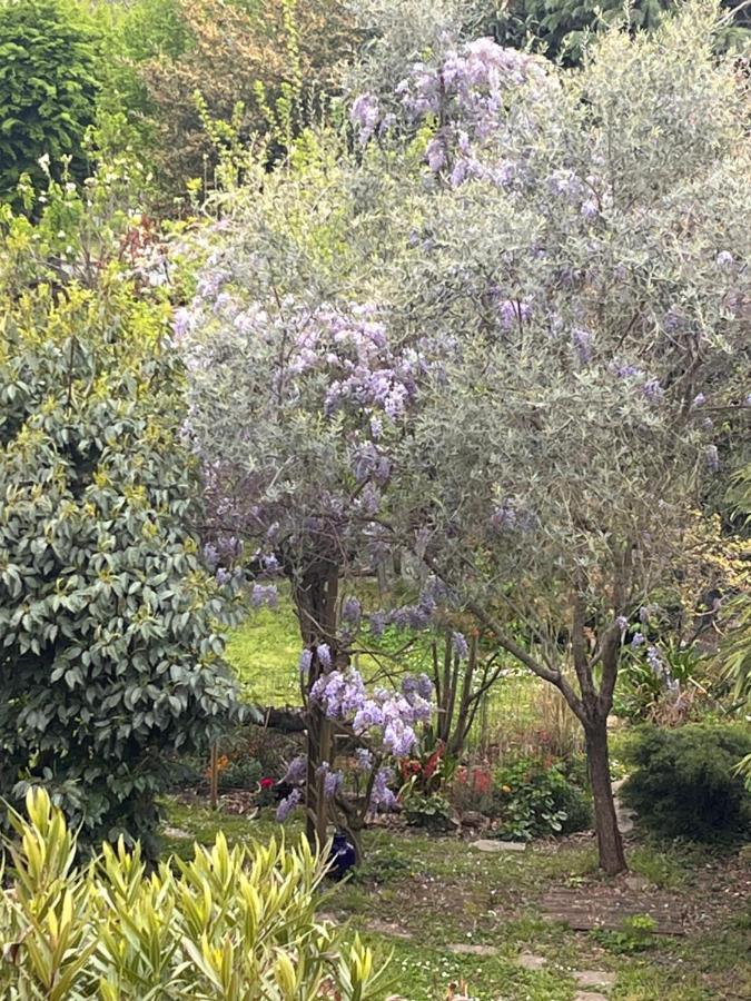 A Room And Garden Close To Paris 비트리쉬르센 외부 사진